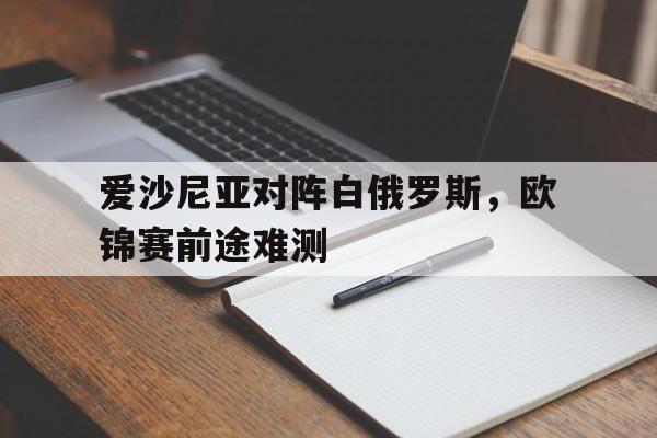 爱沙尼亚对阵白俄罗斯，欧锦赛前途难测的简单介绍